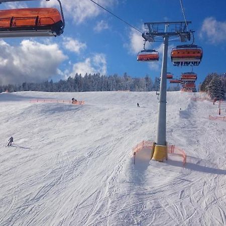 Willa Male Alpy 300 M Od Kompleksow Narciarskich Krynica Exterior foto