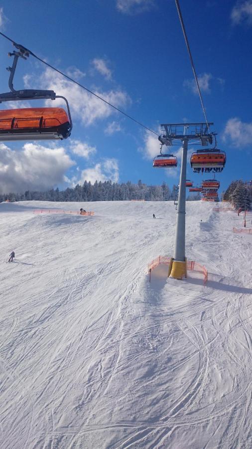 Willa Male Alpy 300 M Od Kompleksow Narciarskich Krynica Exterior foto