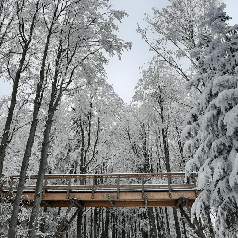 Willa Male Alpy 300 M Od Kompleksow Narciarskich Krynica Exterior foto