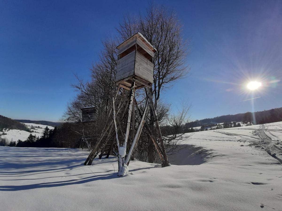 Willa Male Alpy 300 M Od Kompleksow Narciarskich Krynica Exterior foto